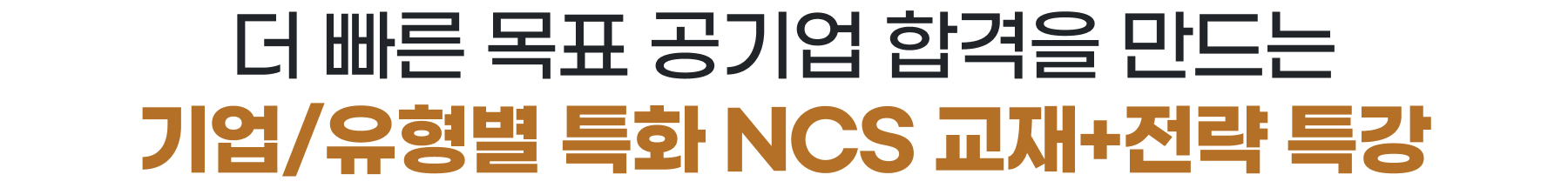 더 빠른 목표 공기업 합격을 만드는 기업/유형별 특화 NCS 교재+전략 특강